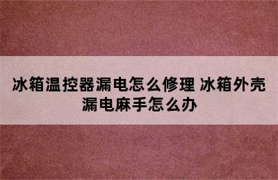 冰箱温控器漏电怎么修理 冰箱外壳漏电麻手怎么办